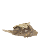 Centro de Mesa Organic Gold
