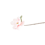 Botões de Rosas, Peónias e Flores Clássicas Solitárias