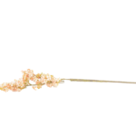 Ramos Silvestres, Espigas e Flores de Campo (Rustic & Field Flowers)