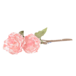 Botões de Rosas, Peónias e Flores Clássicas Solitárias