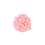 Flores de Globo e Hortênsias Volumosas (Statement Blooms)