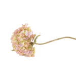 Flores de Globo e Hortênsias Volumosas (Statement Blooms)
