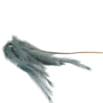 Hastes de Pampas Grass e Plumas Secas (Boho Chic)