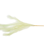 Hastes de Pampas Grass e Plumas Secas (Boho Chic)