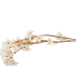 Ramos Silvestres, Espigas e Flores de Campo (Rustic & Field Flowers)