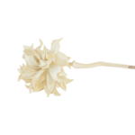 Ramos Silvestres, Espigas e Flores de Campo (Rustic & Field Flowers)