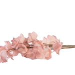 Ramos Silvestres, Espigas e Flores de Campo (Rustic & Field Flowers)