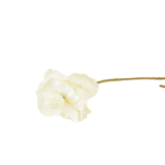 Ramos Silvestres, Espigas e Flores de Campo (Rustic & Field Flowers)