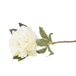 Botões de Rosas, Peónias e Flores Clássicas Solitárias