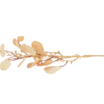 Ramos Silvestres, Espigas e Flores de Campo (Rustic & Field Flowers)