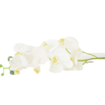 Hastes de Orquídeas Artificiais Premium (Luxury Florals)