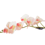 Hastes de Orquídeas Artificiais Premium (Luxury Florals)