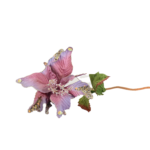 Botões de Rosas, Peónias e Flores Clássicas Solitárias
