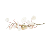 Haste Floral Inspirada em Orquídea