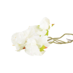 Ramos Silvestres, Espigas e Flores de Campo (Rustic & Field Flowers)