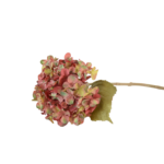 Flores de Globo e Hortênsias Volumosas (Statement Blooms)