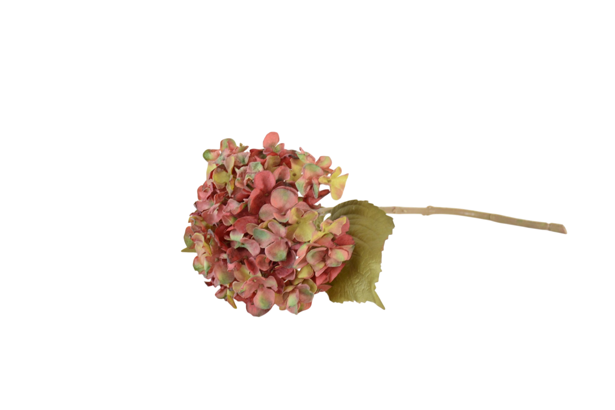 471 Flores de Globo e Hortênsias Volumosas (Statement Blooms) - Image 1