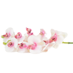 Hastes de Orquídeas Artificiais Premium (Luxury Florals)