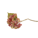 Flores de Globo e Hortênsias Volumosas (Statement Blooms)