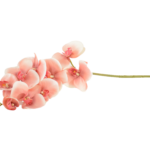 Hastes de Orquídeas Artificiais Premium (Luxury Florals)