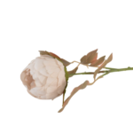 Botões de Rosas, Peónias e Flores Clássicas Solitárias