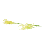 Ramos Silvestres, Espigas e Flores de Campo (Rustic & Field Flowers)