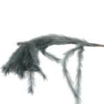 Hastes de Pampas Grass e Plumas Secas (Boho Chic)