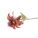 Botões de Rosas, Peónias e Flores Clássicas Solitárias