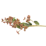 Ramos Silvestres, Espigas e Flores de Campo (Rustic & Field Flowers)