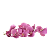 Hastes de Orquídeas Artificiais Premium (Luxury Florals)