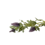 Ramos Silvestres, Espigas e Flores de Campo (Rustic & Field Flowers)