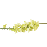 Ramos Silvestres, Espigas e Flores de Campo (Rustic & Field Flowers)