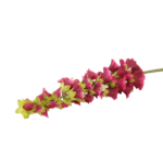 Ramos Silvestres, Espigas e Flores de Campo (Rustic & Field Flowers)