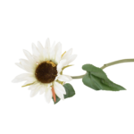 Ramos Silvestres, Espigas e Flores de Campo (Rustic & Field Flowers)