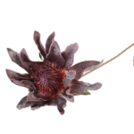 Ramos Silvestres, Espigas e Flores de Campo (Rustic & Field Flowers)
