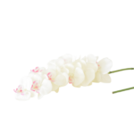 Hastes de Orquídeas Artificiais Premium (Luxury Florals)