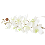 Hastes de Orquídeas Artificiais Premium (Luxury Florals)