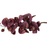 Hastes de Orquídeas Artificiais Premium (Luxury Florals)