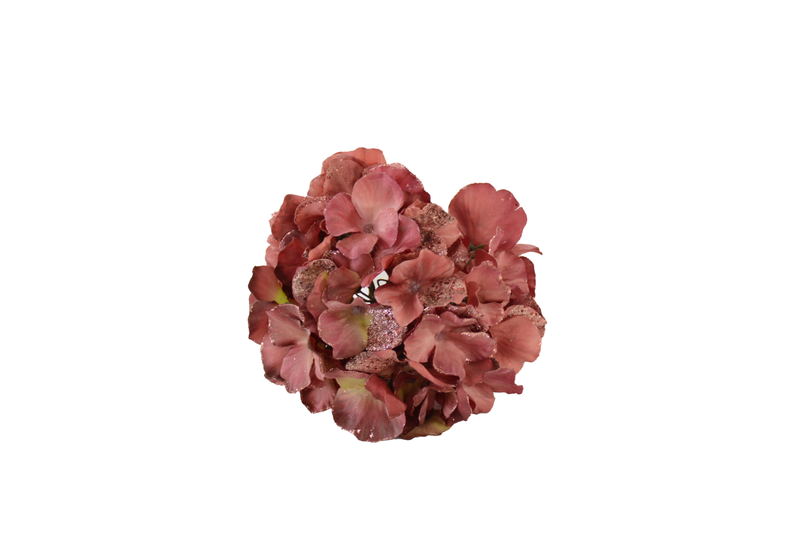 558 Flores de Globo e Hortênsias Volumosas (Statement Blooms) - Image 1
