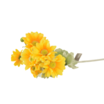 Ramos Silvestres, Espigas e Flores de Campo (Rustic & Field Flowers)