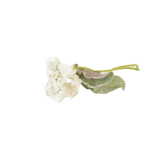 Ramos Silvestres, Espigas e Flores de Campo (Rustic & Field Flowers)