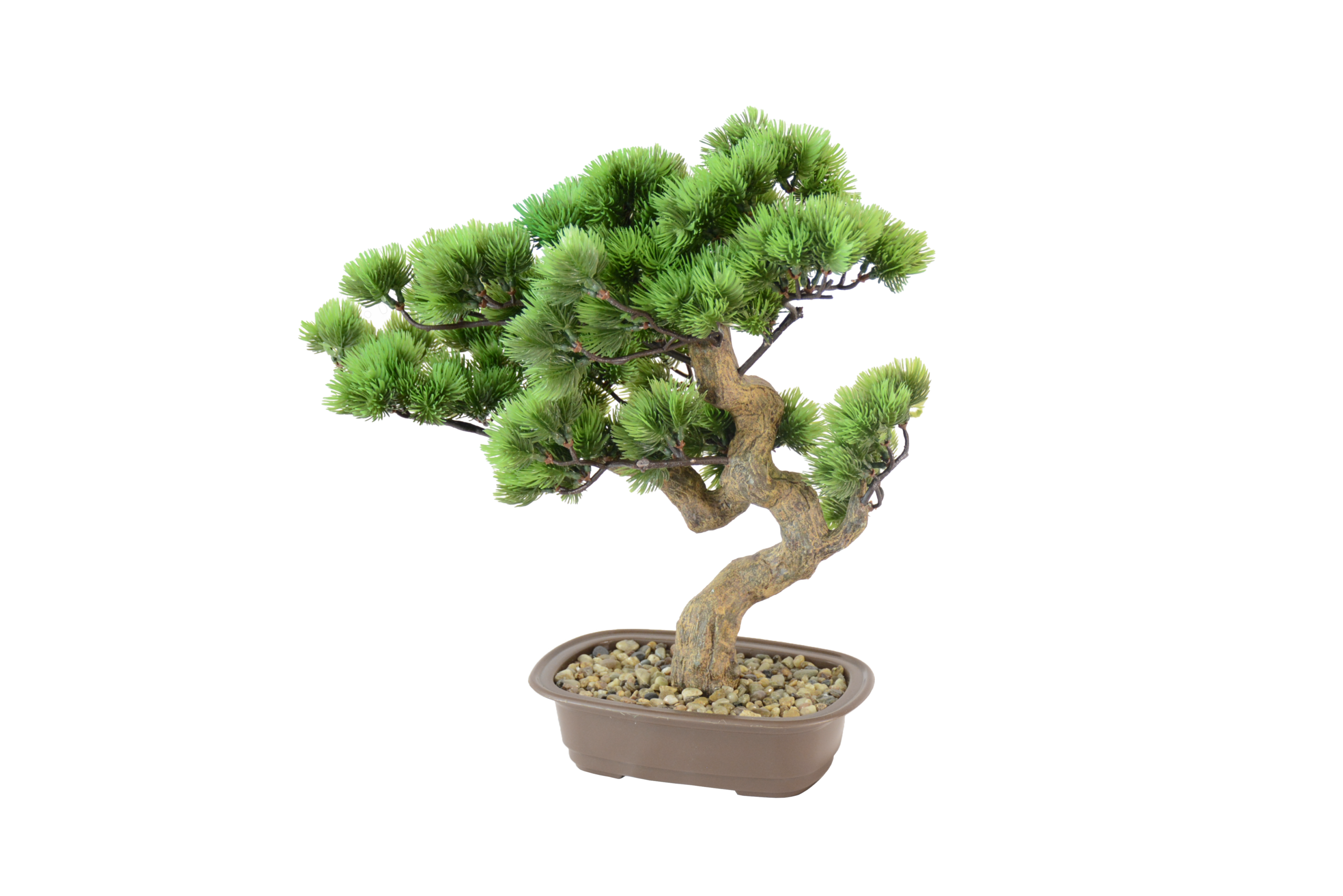 568 Mini Bonsai Tradicional - Image 1