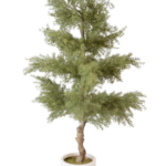 Cedro Imperial em Vaso Cilíndrico Branco