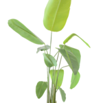 Bananeira Artificial Tropical Light