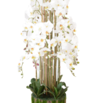 Arranjo Majestoso de Orquídeas Brancas em Vaso de Tronco