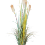 Capim das Pampas com Plumas Claras Boho